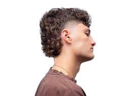 Modern Mullet