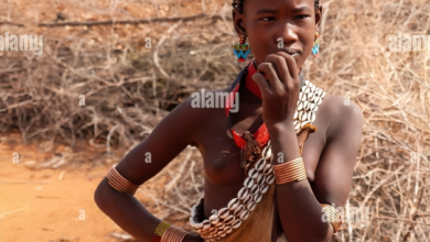 Alamy